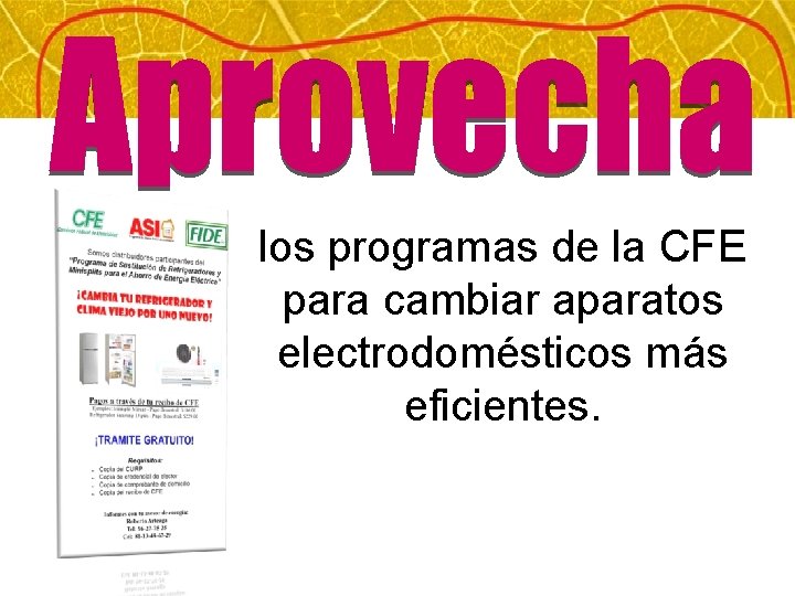 los programas de la CFE para cambiar aparatos electrodomésticos más eficientes. 