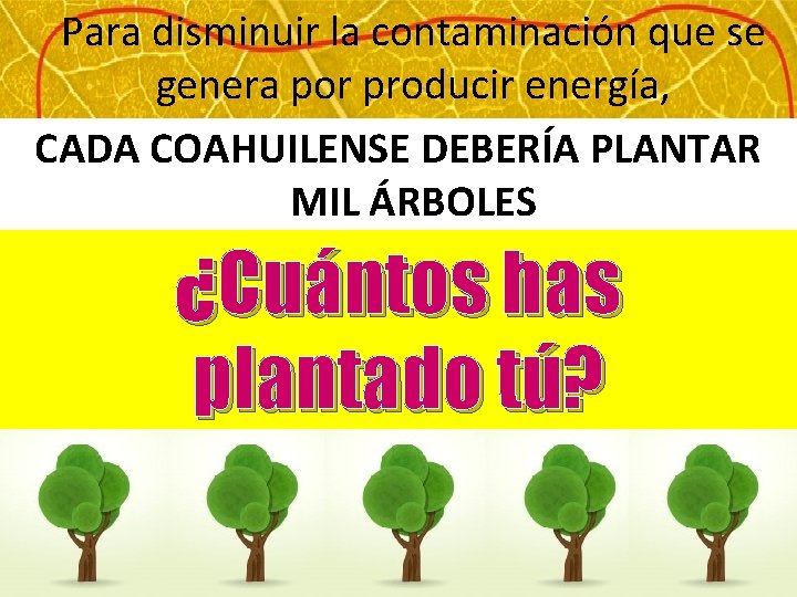 Para disminuir la contaminación que se genera por producir energía, CADA COAHUILENSE DEBERÍA PLANTAR