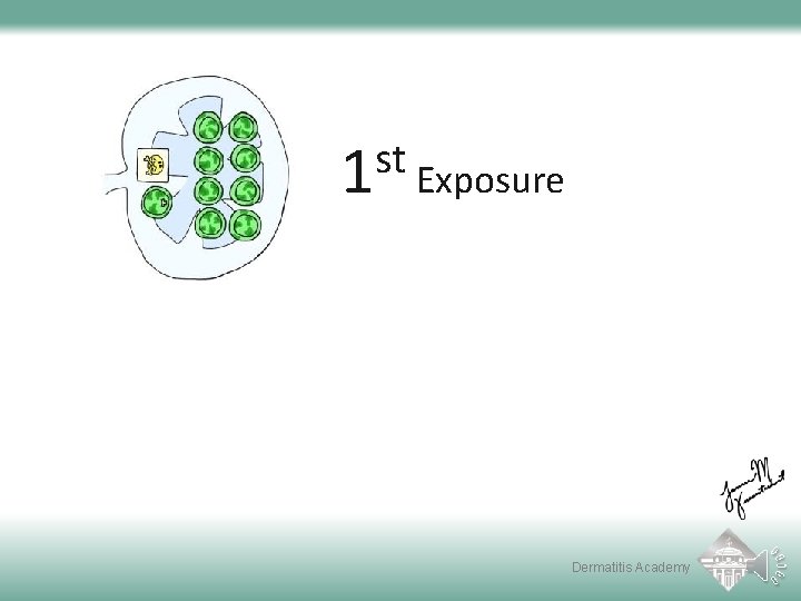 st 1 Exposure Dermatitis Academy 