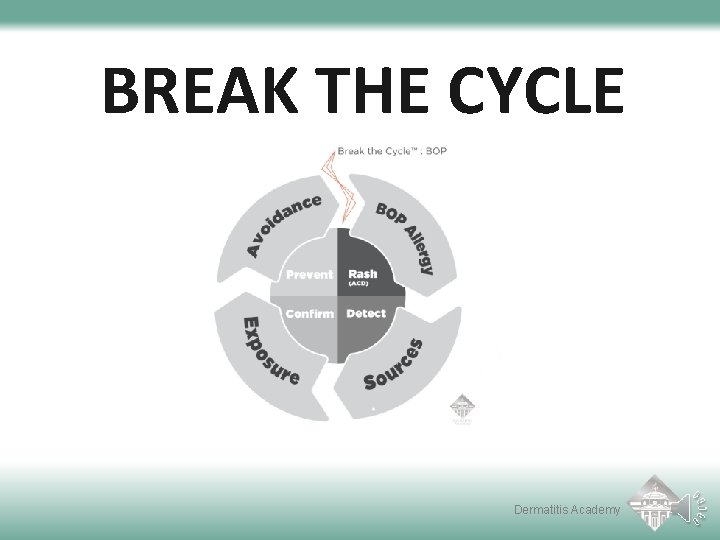 BREAK THE CYCLE Dermatitis Academy 