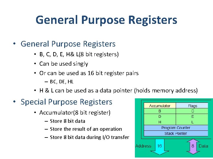 General Purpose Registers • B, C, D, E, H& L(8 bit registers) • Can General Purpose Registers • B, C, D, E, H& L(8 bit registers) • Can