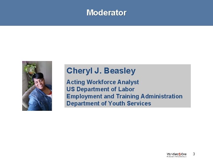 Moderator Cheryl J. Beasley Acting Workforce Analyst US Department of Labor Employment and Training
