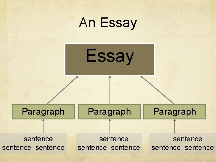 An Essay Paragraph sentence sentence Paragraph sentence 