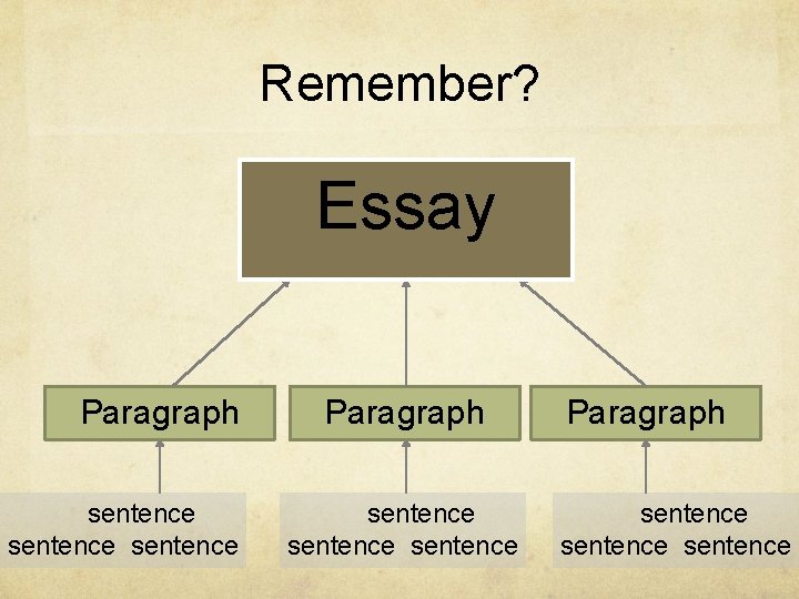 Remember? Essay Paragraph sentence sentence Paragraph sentence 