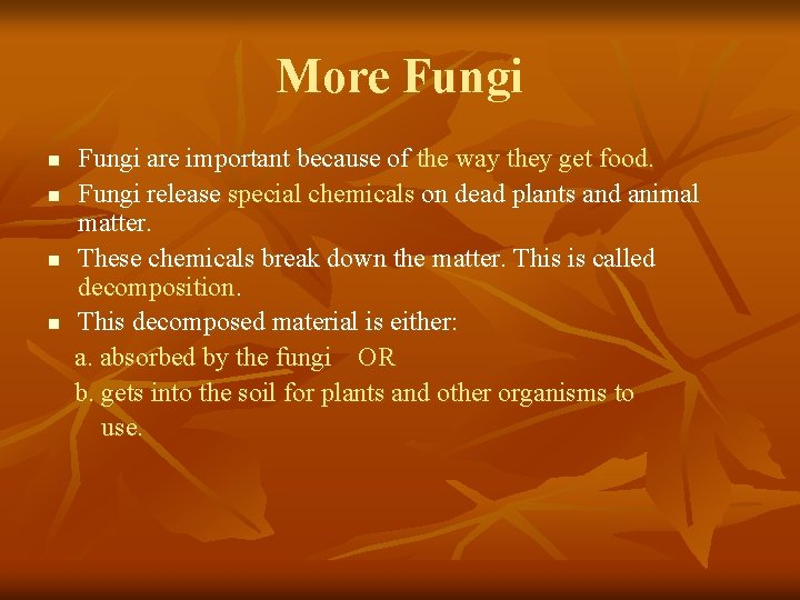 More Fungi n n Fungi are important because of the way they get food.
