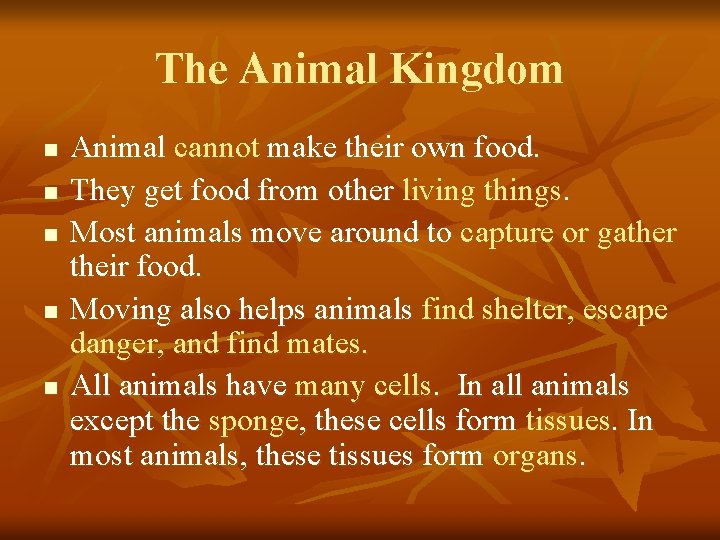 The Animal Kingdom n n n Animal cannot make their own food. They get