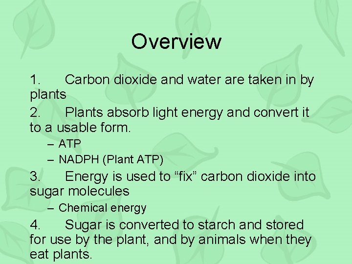 Overview 1. Carbon dioxide and water are taken in by plants 2. Plants absorb