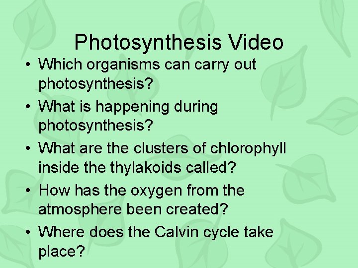Photosynthesis Video • Which organisms can carry out photosynthesis? • What is happening during