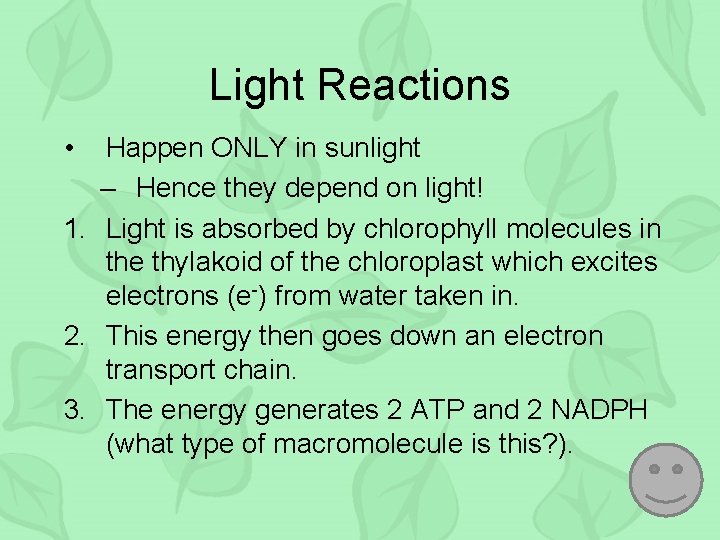 Light Reactions • Happen ONLY in sunlight – Hence they depend on light! 1.