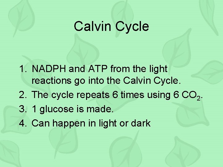 Calvin Cycle 1. NADPH and ATP from the light reactions go into the Calvin