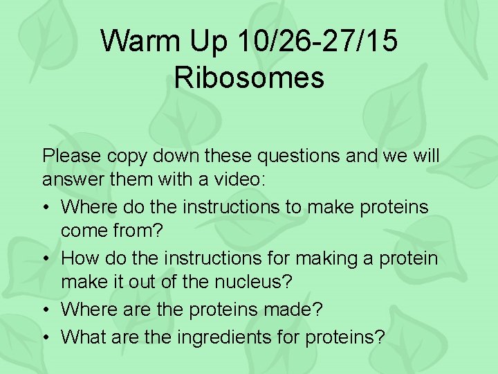 Warm Up 10/26 -27/15 Ribosomes Please copy down these questions and we will answer