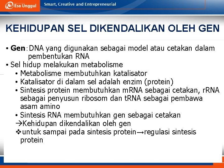 KEHIDUPAN SEL DIKENDALIKAN OLEH GEN • Gen：DNA yang digunakan sebagai model atau cetakan dalam