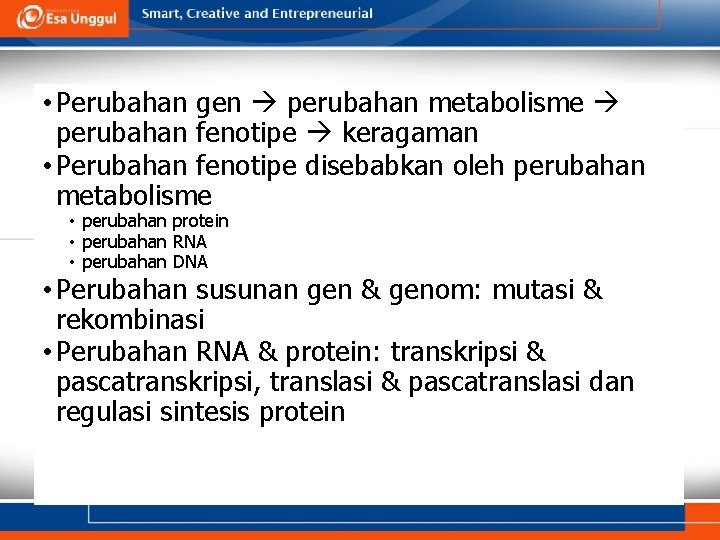  • Perubahan gen perubahan metabolisme perubahan fenotipe keragaman • Perubahan fenotipe disebabkan oleh
