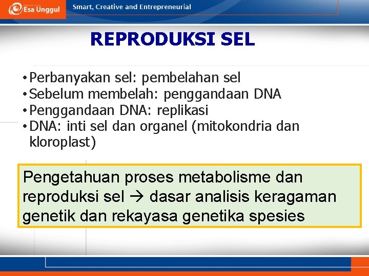 REPRODUKSI SEL • Perbanyakan sel: pembelahan sel • Sebelum membelah: penggandaan DNA • Penggandaan
