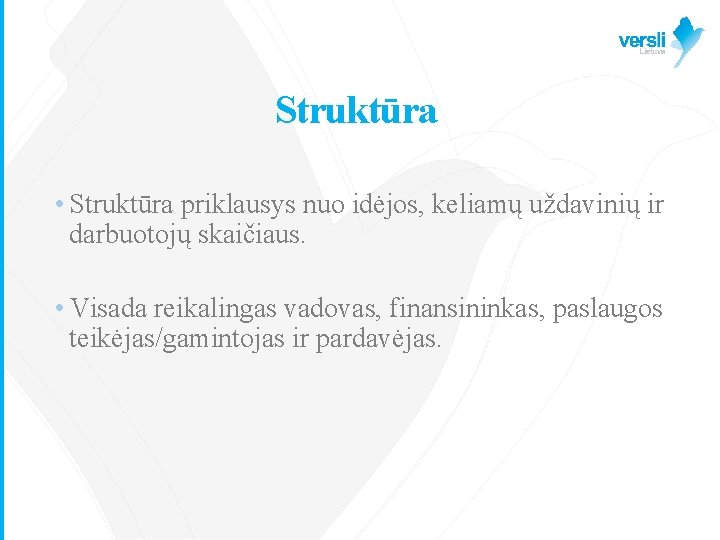 Struktūra • Struktūra priklausys nuo idėjos, keliamų uždavinių ir darbuotojų skaičiaus. • Visada reikalingas