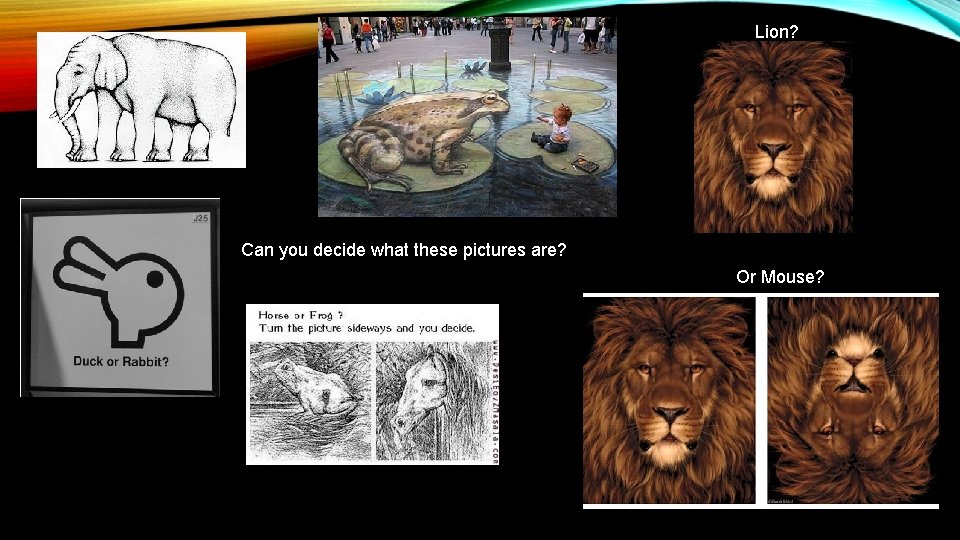 Lion? Can you decide what these pictures are? Or Mouse? 