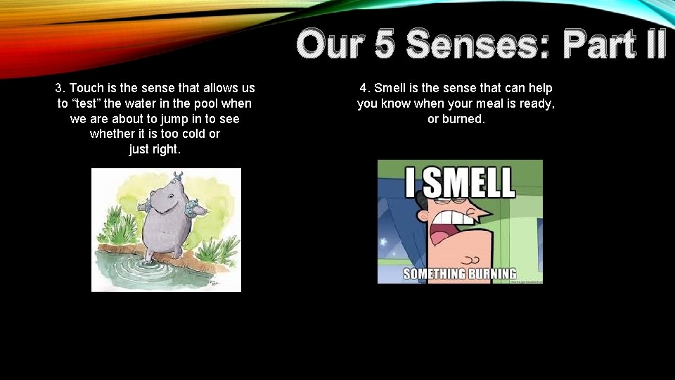Our 5 Senses: Part II 3. Touch is the sense that allows us to