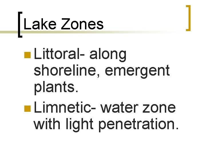 Lake Zones n Littoral- along shoreline, emergent plants. n Limnetic- water zone with light