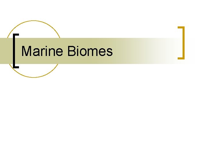 Marine Biomes 