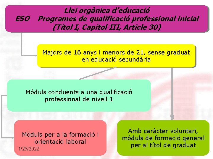 ESO Llei orgànica d’educació Programes de qualificació professional inicial (Títol I, Capítol III, Article