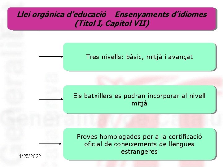 Llei orgànica d’educació Ensenyaments d’idiomes (Títol I, Capítol VII) Tres nivells: bàsic, mitjà i