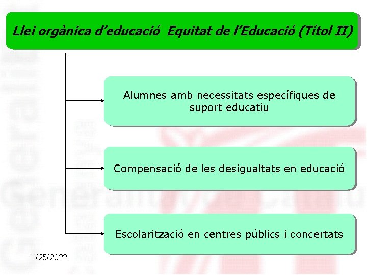 Llei orgànica d’educació Equitat de l’Educació (Títol II) Alumnes amb necessitats específiques de suport