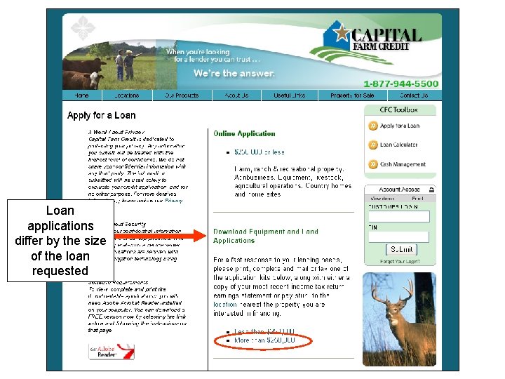 Loan applications differ by the size of the loan requested 