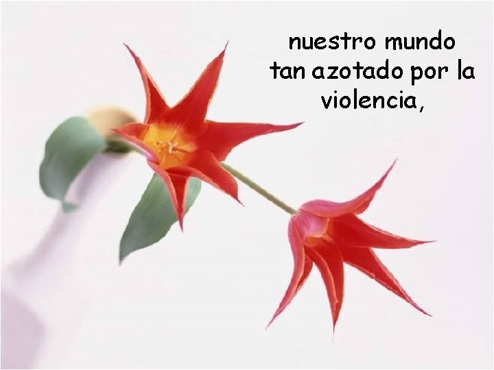 nuestro mundo tan azotado por la violencia, 