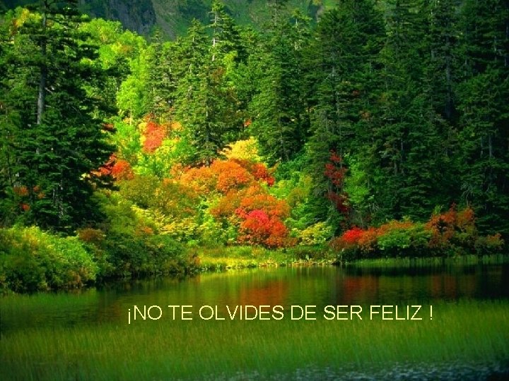 ¡NO TE OLVIDES DE SER FELIZ ! 