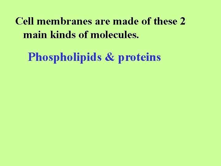 Cell membranes are made of these 2 main kinds of molecules. Phospholipids & proteins