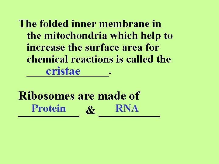 The folded inner membrane in the mitochondria which help to increase the surface area