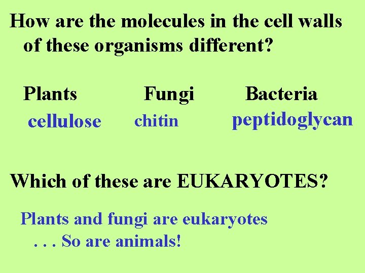 How are the molecules in the cell walls of these organisms different? Plants cellulose