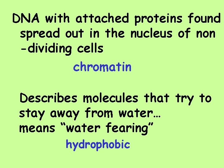 DNA with attached proteins found spread out in the nucleus of non -dividing cells