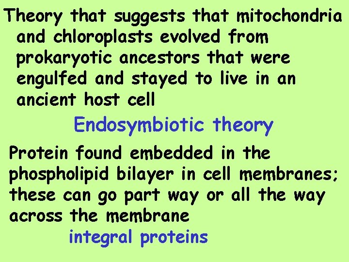 Theory that suggests that mitochondria and chloroplasts evolved from prokaryotic ancestors that were engulfed