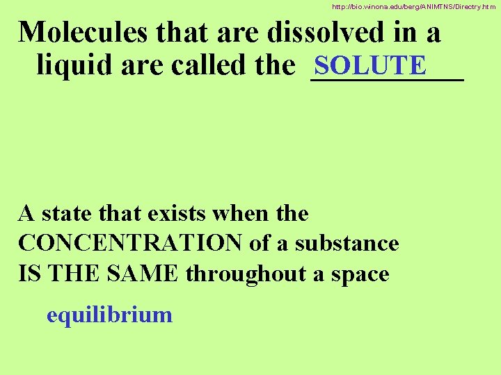 http: //bio. winona. edu/berg/ANIMTNS/Directry. htm Molecules that are dissolved in a SOLUTE liquid are