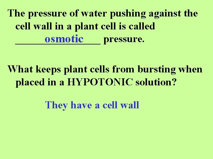 The pressure of water pushing against the cell wall in a plant cell is