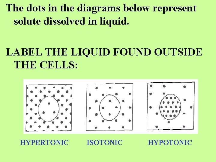 The dots in the diagrams below represent solute dissolved in liquid. LABEL THE LIQUID