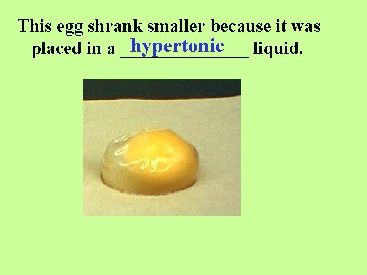 This egg shrank smaller because it was hypertonic liquid. placed in a _______ 