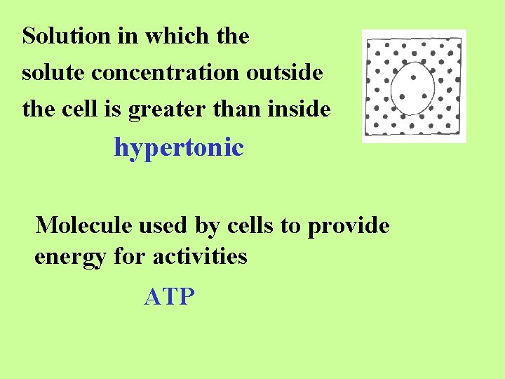 Solution in which the solute concentration outside the cell is greater than inside hypertonic