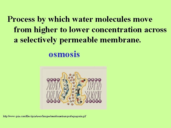Process by which water molecules move from higher to lower concentration across a selectively