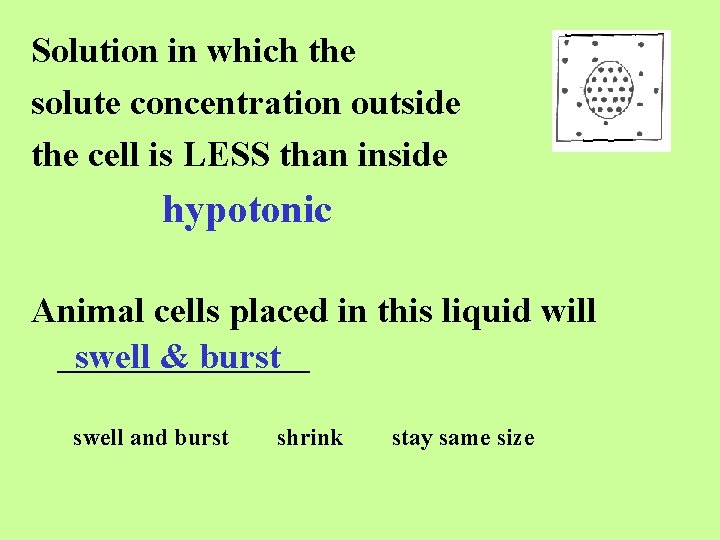 Solution in which the solute concentration outside the cell is LESS than inside hypotonic