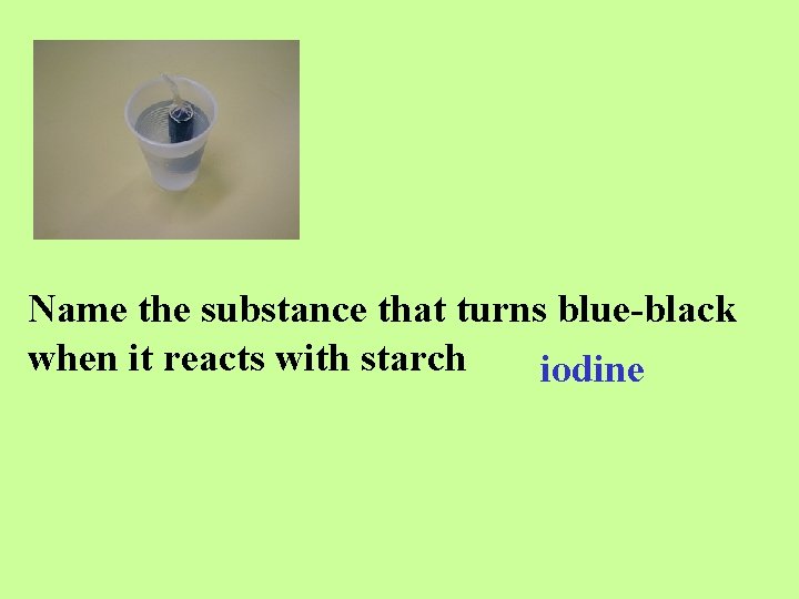 Name the substance that turns blue-black when it reacts with starch iodine 