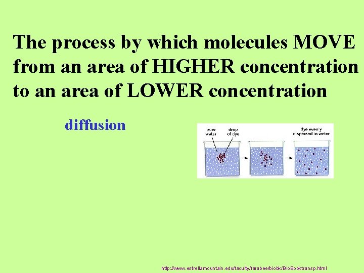 The process by which molecules MOVE from an area of HIGHER concentration to an