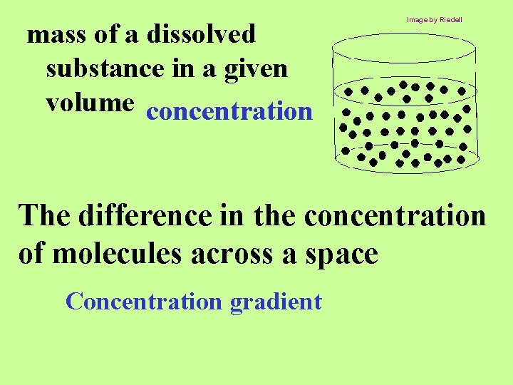 mass of a dissolved substance in a given volume concentration Image by Riedell The