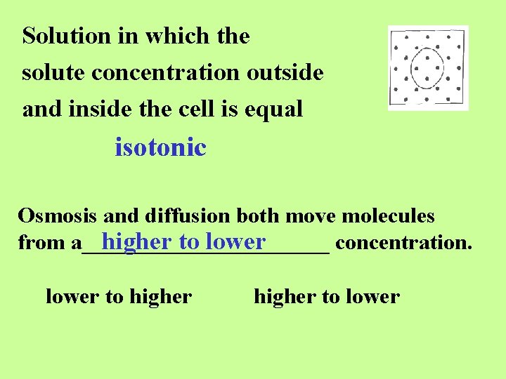 Solution in which the solute concentration outside and inside the cell is equal isotonic