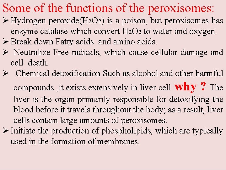 Some of the functions of the peroxisomes: Ø Hydrogen peroxide(H 2 O 2) is