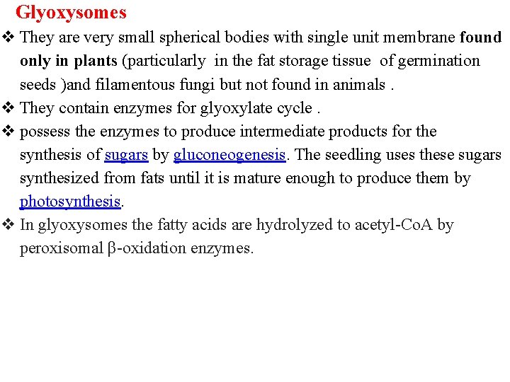 Glyoxysomes v They are very small spherical bodies with single unit membrane found only