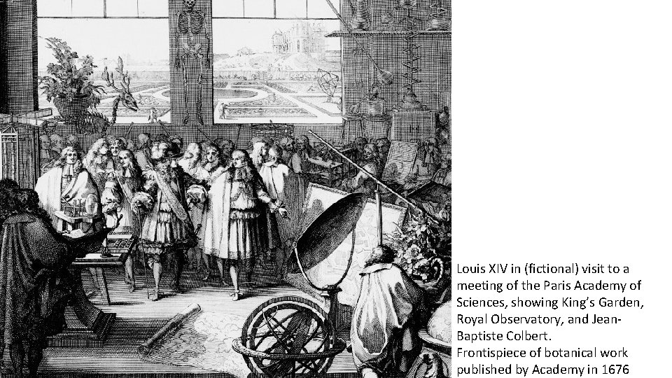 Louis XIV in (fictional) visit to a meeting of the Paris Academy of Sciences,