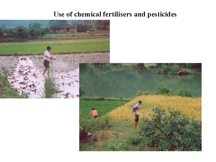 Use of chemical fertilisers and pesticides 