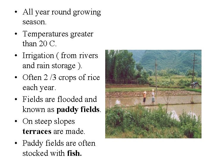  • All year round growing season. • Temperatures greater than 20 C. •